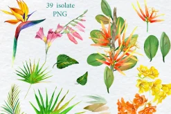 Watercolor Tropical plant & Bird