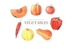Watercolor Vegetables clipart