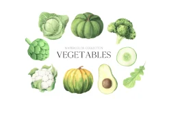Watercolor Vegetables clipart