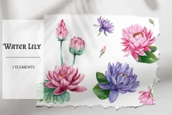 Watercolor Water Lily