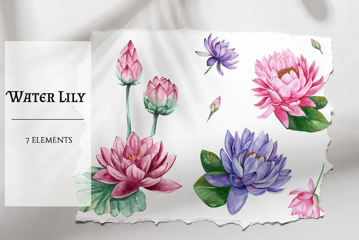 Watercolor Water Lily
