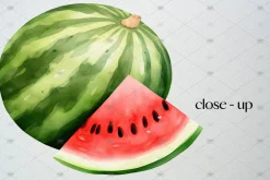 Watercolor Watermelon Clipart Set