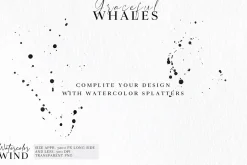 Watercolor Whales Clipart Set