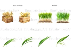 Watercolor Wheat Clipart, Wheat Farm