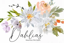 Watercolor White Dahlias Flowers