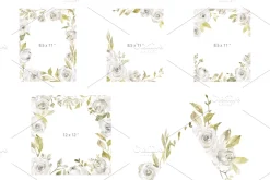 Watercolor White Roses Flowers PNG