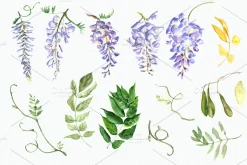 Watercolor Wisteria Clip Art Set