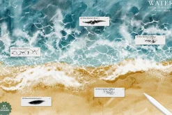 Water Effects Brushes Procreate