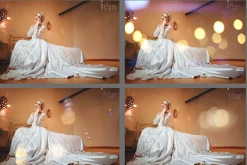 Wedding Art Bokeh Photo Overlays