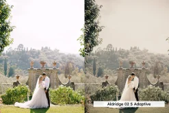 20 Wedding Lightroom Presets and LUT