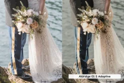 20 Wedding Lightroom Presets and LUT