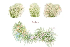 Wedding Map 50 Watercolor Clipart