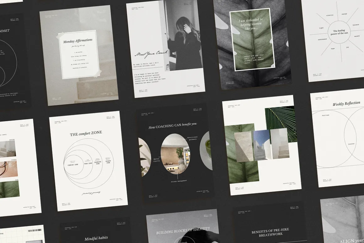 Wellness Social BUNDLE kit|Instagram