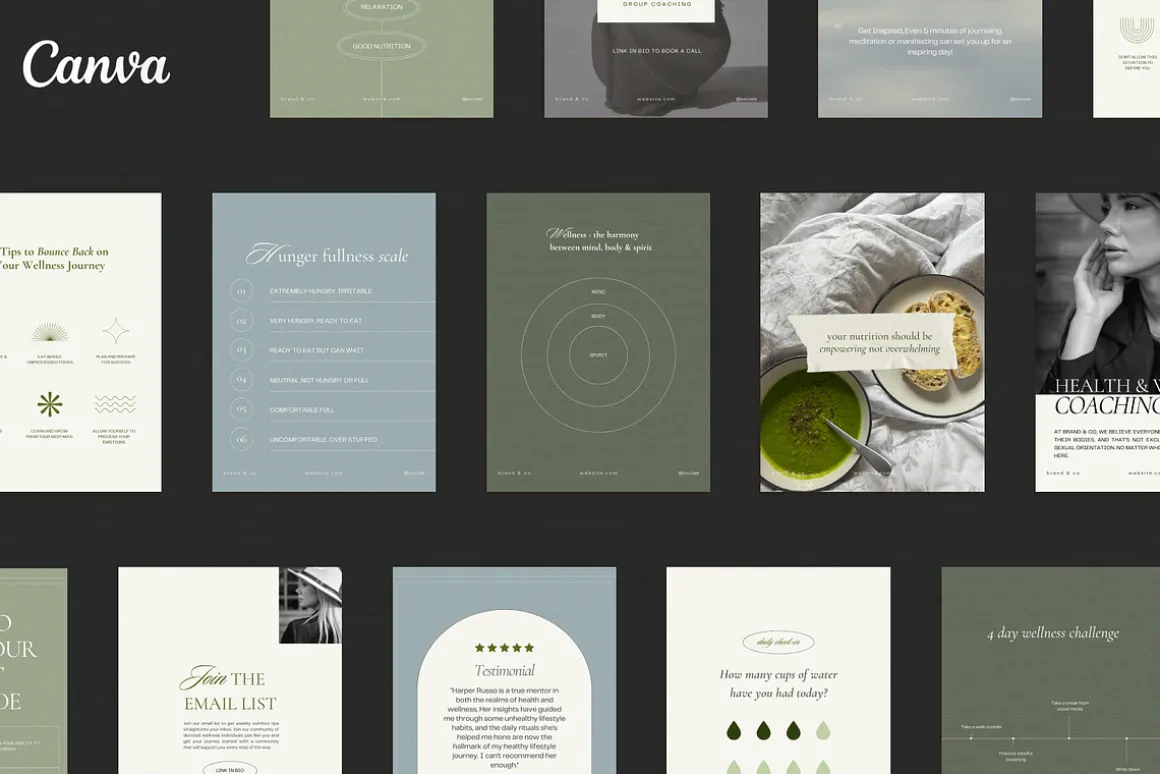 Wellness Social BUNDLE kit|Instagram