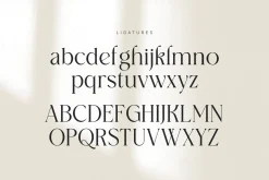 Westiga - Modern Luxury Serif Font