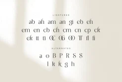 Westiga - Modern Luxury Serif Font