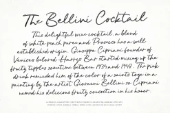 11 Whimsical Handwritten Font Bundle