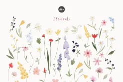 Whimsy & Bright Meadow Flowers