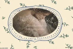 Whimsy Cottagecore Frames & Pattern