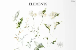 White flowers, Freesia