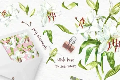 White Lilies watercolor clipart