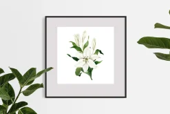 White Lilies Watercolor Set