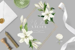 White Lilies Watercolor Set