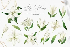 White Lilies Watercolor Set
