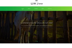 Wild Horse Responsive One Page Theme