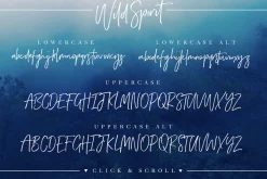 Wild Spirit Font