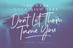 Wild Spirit Font