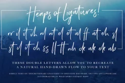 Wild Spirit Font