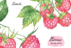 Wild Berry Watercolor Clipart