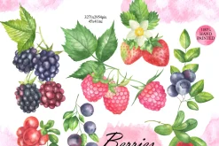 Wild Berry Watercolor Clipart