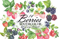 Wild Berry Watercolor Clipart