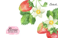 Wild Berry Watercolor Clipart