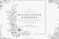 Wildflower Borders SVG, PNG