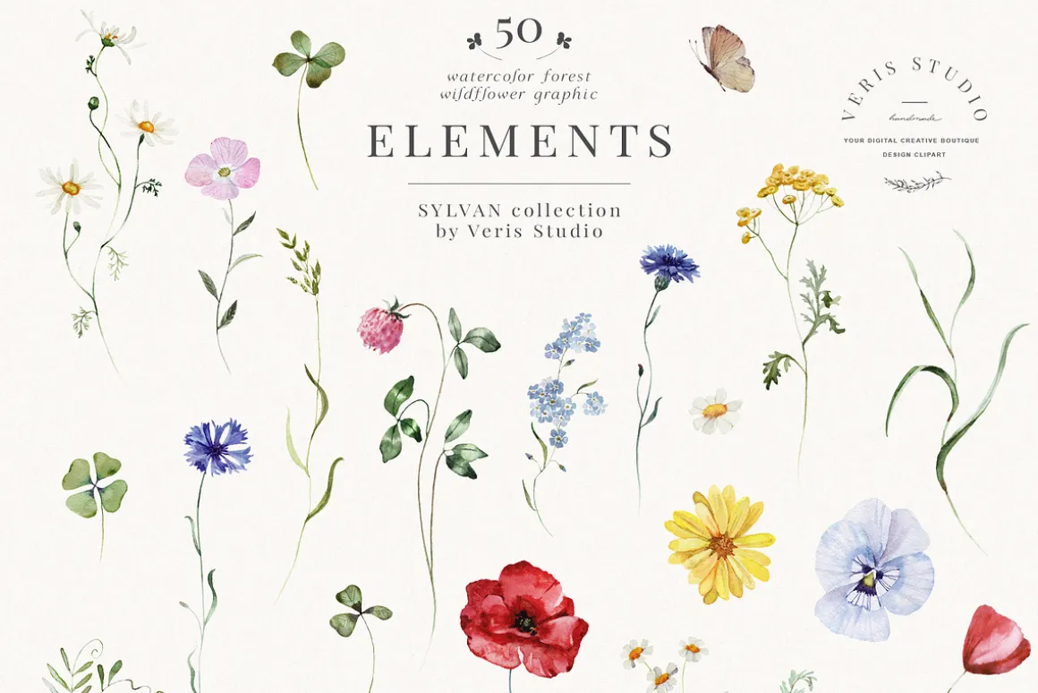 Wildflower Forest Floral Flower Set