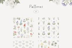 Wildflowers. Hand drawn pencil flora