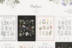 Wildflowers. Hand drawn pencil flora