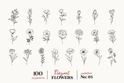 Wildflowers Line Art Botanicals No.3