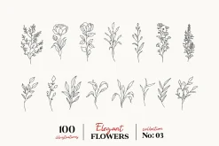 Wildflowers Line Art Botanicals No.3