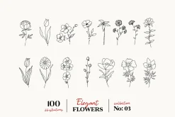 Wildflowers Line Art Botanicals No.3