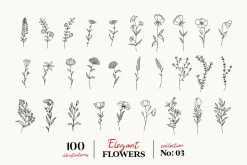 Wildflowers Line Art Botanicals No.3