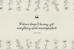Wildflowers Line Art Botanicals No.3