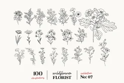 Wildflowers Line Art No:7