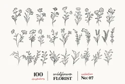 Wildflowers Line Art No:7