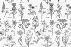 WILD FLOWERS - Graphics Bundle