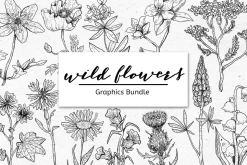 WILD FLOWERS - Graphics Bundle