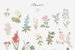 Wildflowers. Hand drawn pencil flora